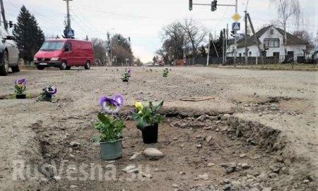 К приезду Порошенко на Закарпатье в дорожные ямы «посадили» цветы (ФОТО)