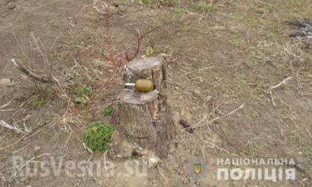 Доигрался: Украинец играл с гранатой и подорвал себя и брата (ФОТО)