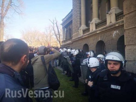 В Сербии протестующие прорвали ограждение у дворца президента (ФОТО, ВИДЕО)