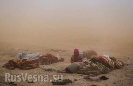 «Удушающий запах смерти»: штурм и жуткая бойня на востоке Сирии (ВИДЕО, ФОТО 18+)
