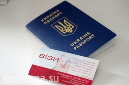 «Безвиз умер?» Украинцев не пускают в Евросоюз, разворачивают на границе (ВИДЕО)