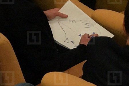 Депутат высмеяла рисунок Макаревича (ФОТО)