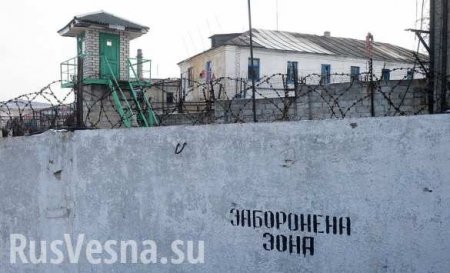 Выборы на Украине, взгляд из плена. Русский «Железный зэк»: В тюрьмах готовы разорвать Порошенко