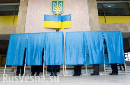 Украина выбирает президента: самое интересное с участков (+ВИДЕО, ФОТО)
