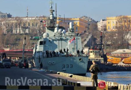 Фрегаты НАТО вошли в порт Одессы (ФОТО)