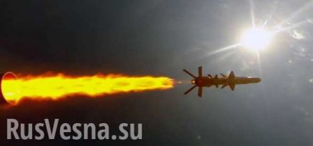 ВСУ испытали крылатую ракету «Нептун» (ВИДЕО)