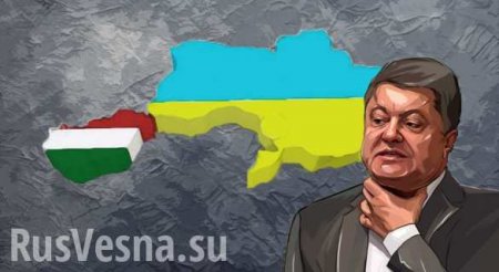 Скандал: украинского посла вызвали в МИД Венгрии