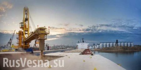 Новая фаза борьбы с русским языком: на Украине готовятся дерусифицировать крупнейший порт