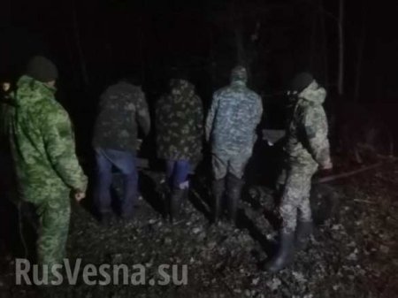 Це Европа: Украинцы на телегах пытались вывезти контрабандой в Белоруссию 800 кг сала (ФОТО)