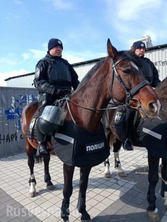 Дебаты Порошенко с Порошенко: к «Олимпийскому» сгоняют полицию (ФОТО, ВИДЕО)