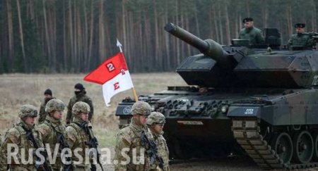 «Ведут себя как саранча»: поляки взбунтовались против военных США