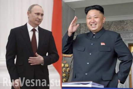 В Кремле прокомментировали слухи о подготовке встречи Путина и Ким Чен Ына