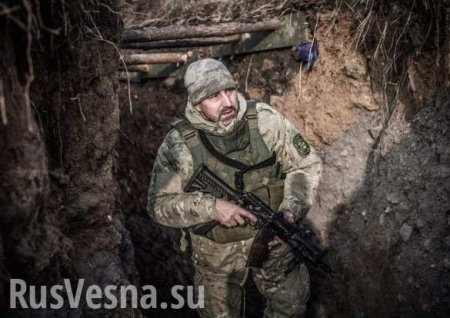 Выгодна ли война на Донбассе России: Комбриг ДНР рассказал, как искал помощи Москвы для восстания
