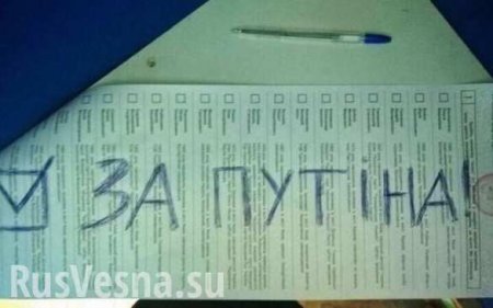 «За Путина»: в ЦИК Украины рассказали о четверти миллиона испорченных бюллетеней