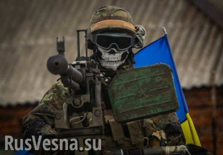 Экстренное заявление Армии ДНР в связи с обстрелом ВСУ российских журналистов