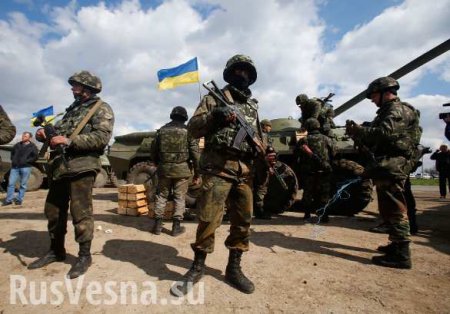 ВСУ на Донбассе приведены в полную боеготовность