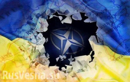 «Сейчас не время», — замгенсека НАТО оценил перспективы вступления Украины в Альянс