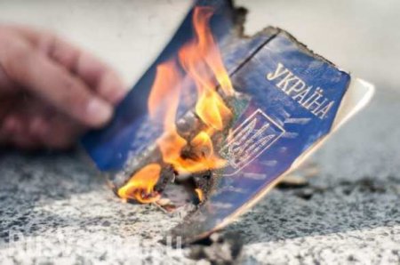 На Украине предложили отбирать украинские паспорта после получения российских (ВИДЕО)