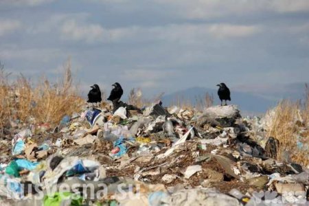 Жуткое происшествие в Николаевской области: 9-летнего ребёнка насмерть завалило мусором на свалке (ФОТО, ВИДЕО)
