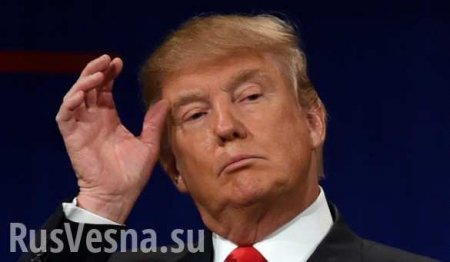 США намерены «много торговать» с Россией, — Трамп