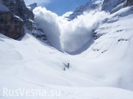 Семь человек погибли при сходе лавины на Алтае