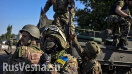Украинские каратели грызутся между собой: сводка о военной ситуации на Донбассе