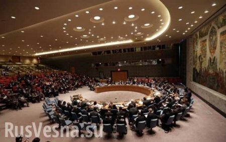 ВАЖНО: Россия заблокировала заявление СБ ООН по Сирии