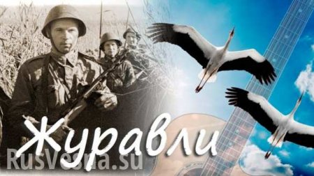 «Это чудо!» — 9 мая под песню «Журавли» 2 клина журавлей пролетели над памятником Героям-Ольшанцам в Николаеве (ВИДЕО)