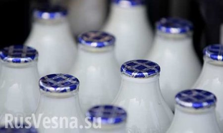 В России возможны перебои с поставками молока