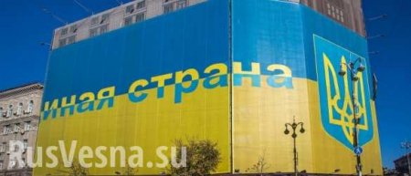 Украина: удивительный пример узурпации власти