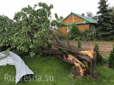 Мощный смерч разрушил более 120 домов в Польше (ФОТО, ВИДЕО)