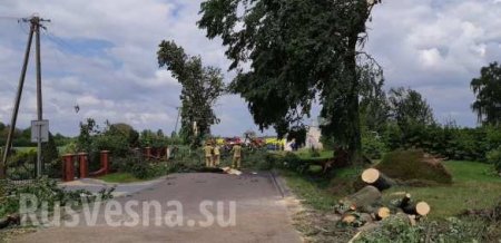 Мощный смерч разрушил более 120 домов в Польше (ФОТО, ВИДЕО)