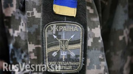 Силы спецопераций ВСУ пытались дестабилизировать обстановку в России и на Донбассе