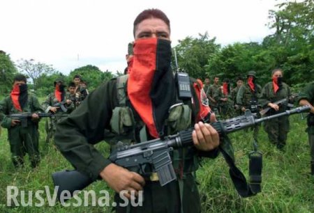 Партизаны, кока и весёлый приём: как российский военкор путешествовал по Колумбии (ВИДЕО)