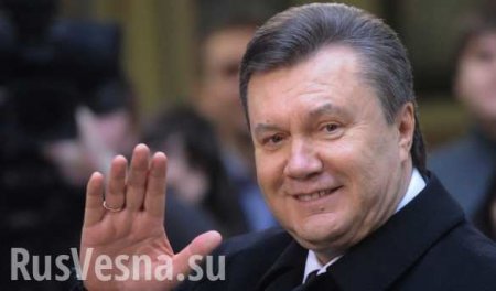 На Украине хотят восстановить «Партию Регионов» — опять всплывает Янукович (ВИДЕО)