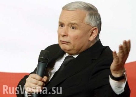 Польский политик призвал Качиньского ответить за оскорбления в адрес России перед трибуналом