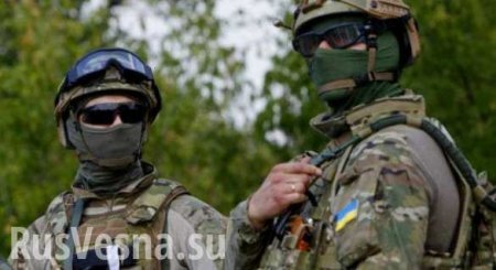 В Румынии опубликован видеоролик о вторжении на Украину — в Киеве собирают срочное совещание силовиков (ВИДЕО)