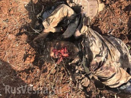 «Обугленные трупы зомби»: мощное наступление боевиков в Сирии обернулось кровавым провалом (ФОТО 18+)