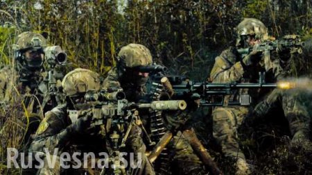Русский спецназ в джунглях Бразилии: съешь всех сам и не дай съесть себя (ВИДЕО)