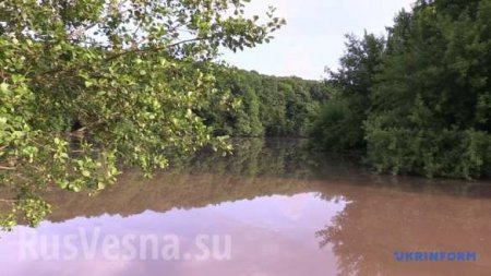 Экологическая катастрофа на Украине: отрава достигла крупных городов двух областей (ФОТО, ВИДЕО)