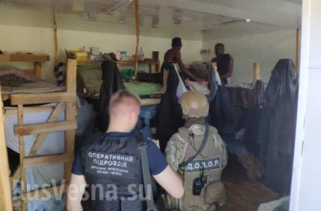 Чёрные «рабы» обнаружены на лесозаготовке под Киевом (ФОТО, ВИДЕО)