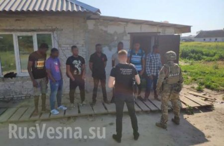 Чёрные «рабы» обнаружены на лесозаготовке под Киевом (ФОТО, ВИДЕО)
