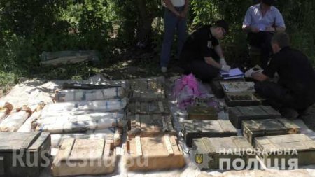 Если Путин всё же нападёт: крупнейший схрон боеприпасов найден в саду частного дома на Западной Украине (ФОТО, ВИДЕО)