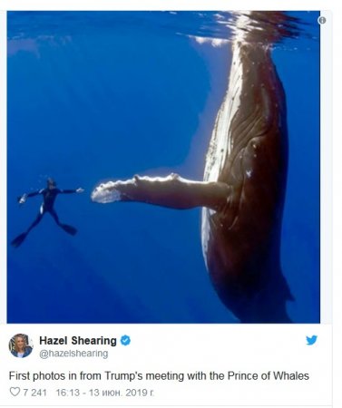 Трампа высмеяли из-за встречи с «принцем китов»