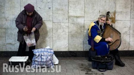В Киеве объяснили причину бедности и недоедания украинцев (ВИДЕО)