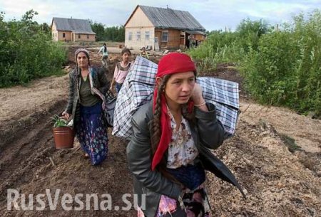 Цыгане начали покидать Пензенскую область после драки и убийства в Чемодановке