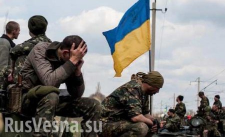 «ВСУ готовят к капитуляции» — на Украине паника из-за коррупционных расследований в Минобороны