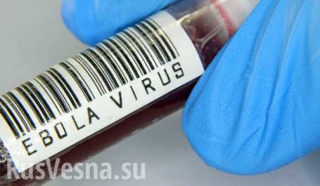 Российские учёные разработали уникальную вакцину от смертельной лихорадки