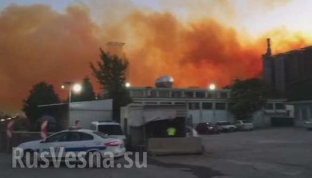 В Турции прогремел взрыв на азотном заводе (ФОТО, ВИДЕО)