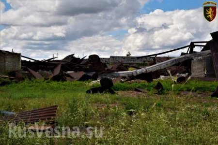 Мощнейший взрыв: ВСУ показали уничтоженные «Змеем Горынычем» позиции под Донецком (ФОТО, ВИДЕО)